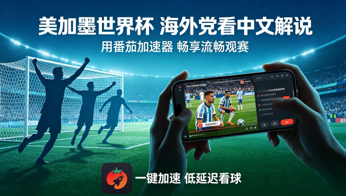 在海外看央视频世界杯中文直播当前IP受限制教程